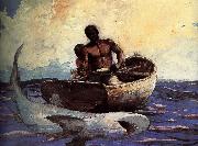 Winslow Homer, Shark